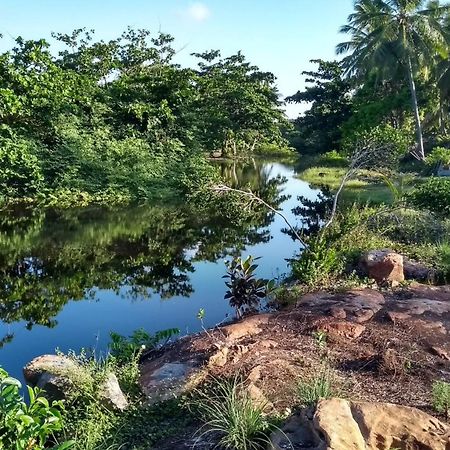 Casa Imbale Hotel Imbassai Bagian luar foto